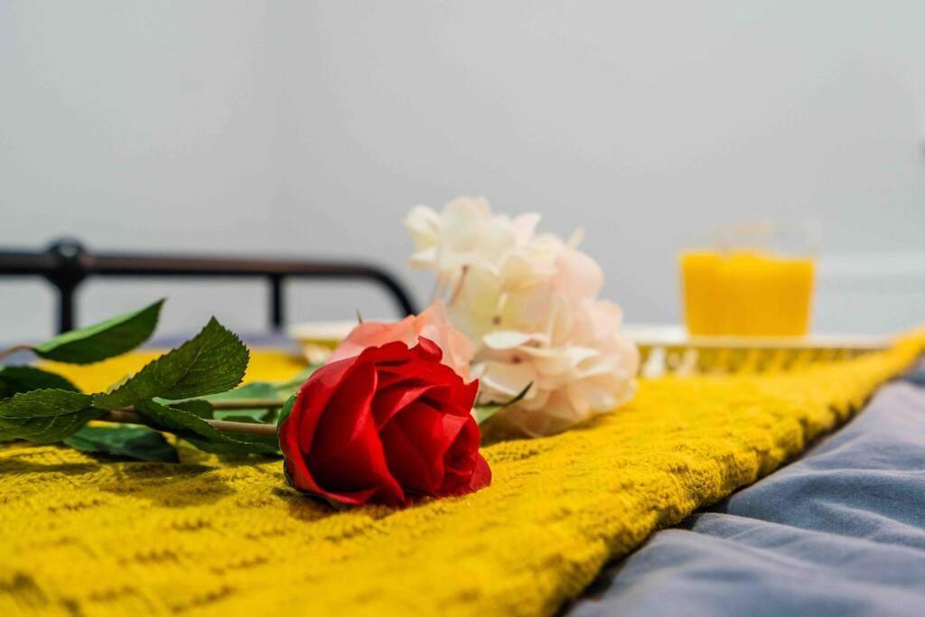 Appartamento Modern Flat In Moseley With Free Parking Birmingham Esterno foto