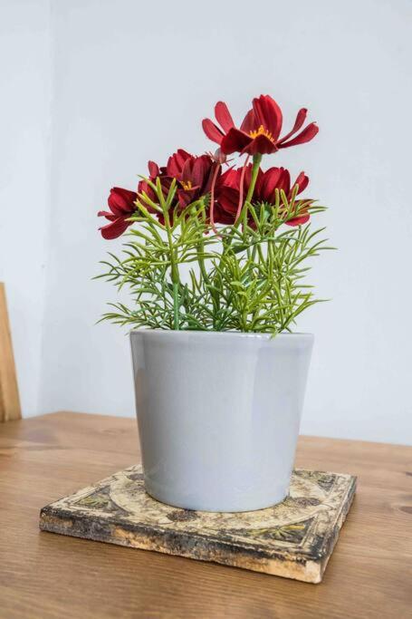 Appartamento Modern Flat In Moseley With Free Parking Birmingham Esterno foto